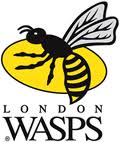 london_wasps